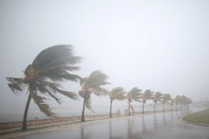 Cuộc di tản tránh bão lớn nhất trong lịch sử bang Florida